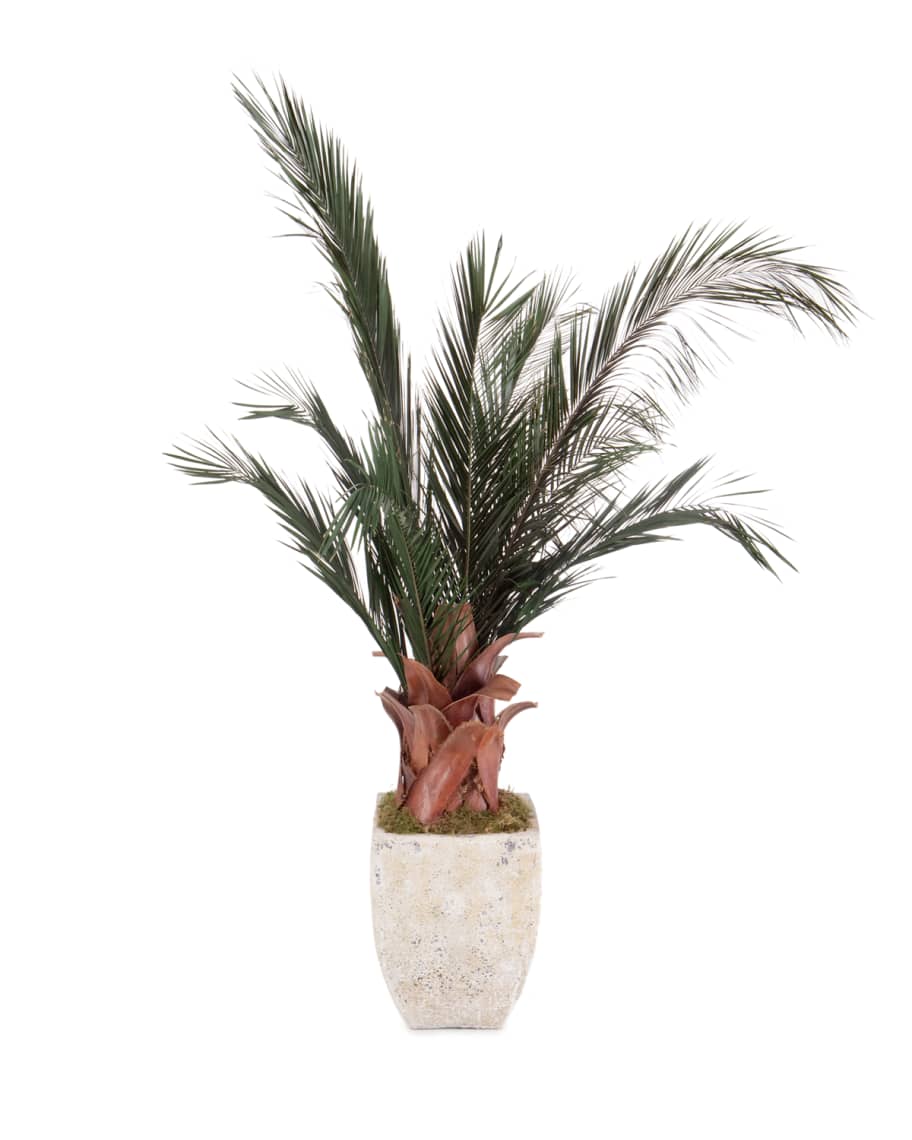 Image 2 of 2: Oversized Palm in Planter