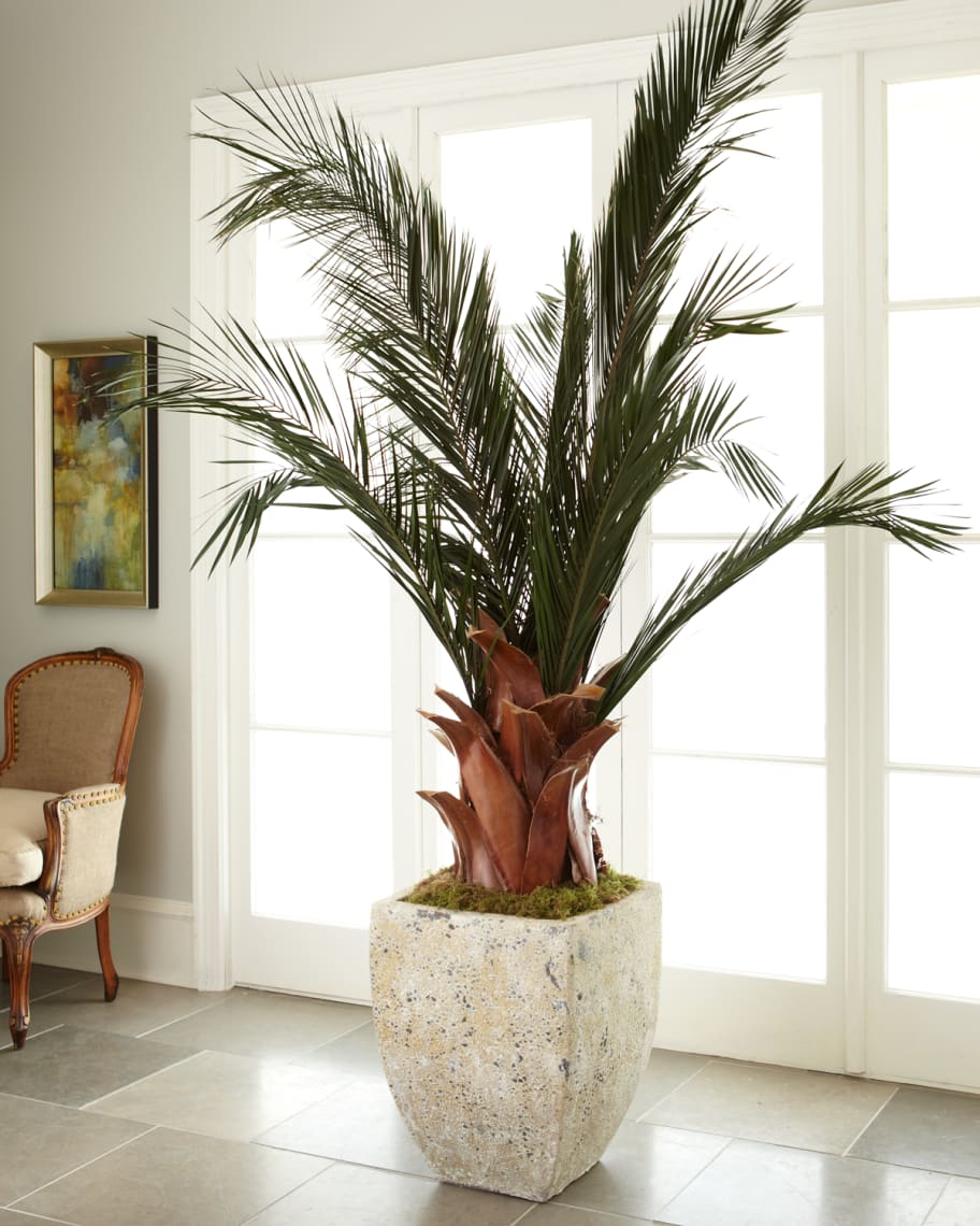 Image 1 of 2: Oversized Palm in Planter