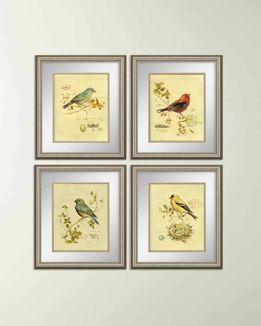 Image 1 of 3: Four Songbird Prints
