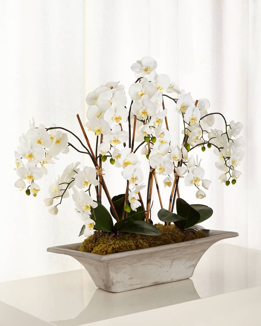 Image 1 of 1: Armature Orchids Faux-Floral Arrangement