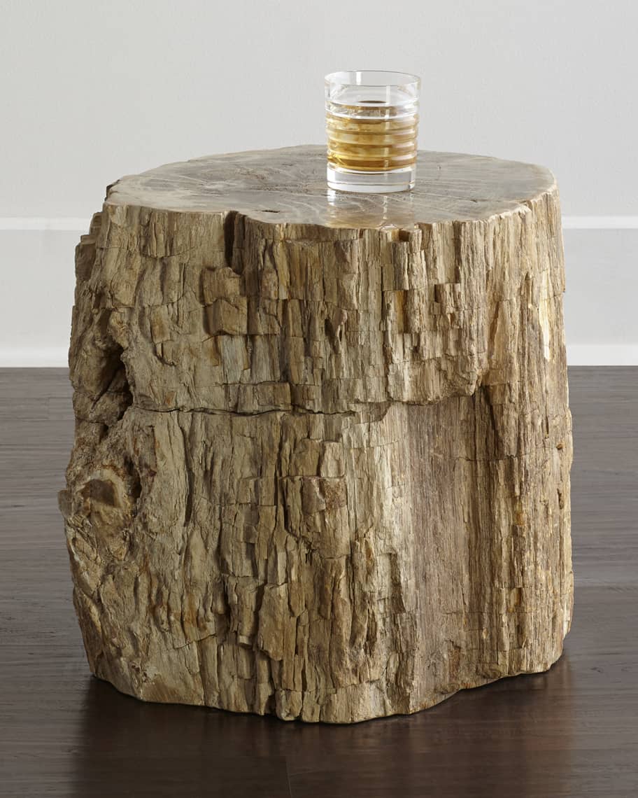 Image 1 of 4: Petrified Wood Side Table