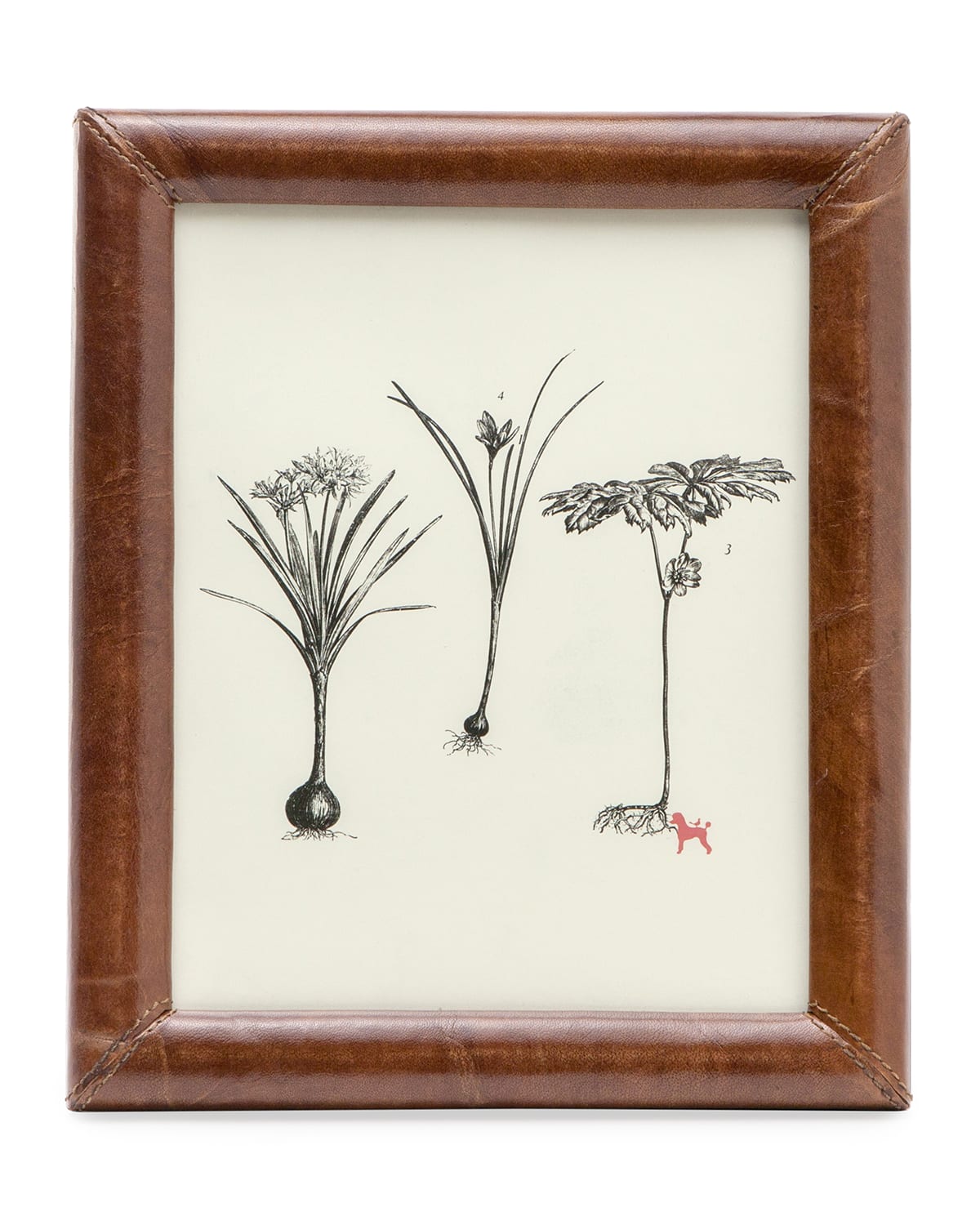 Image Pigeon and Poodle Eton Leather Frame, 8x10
