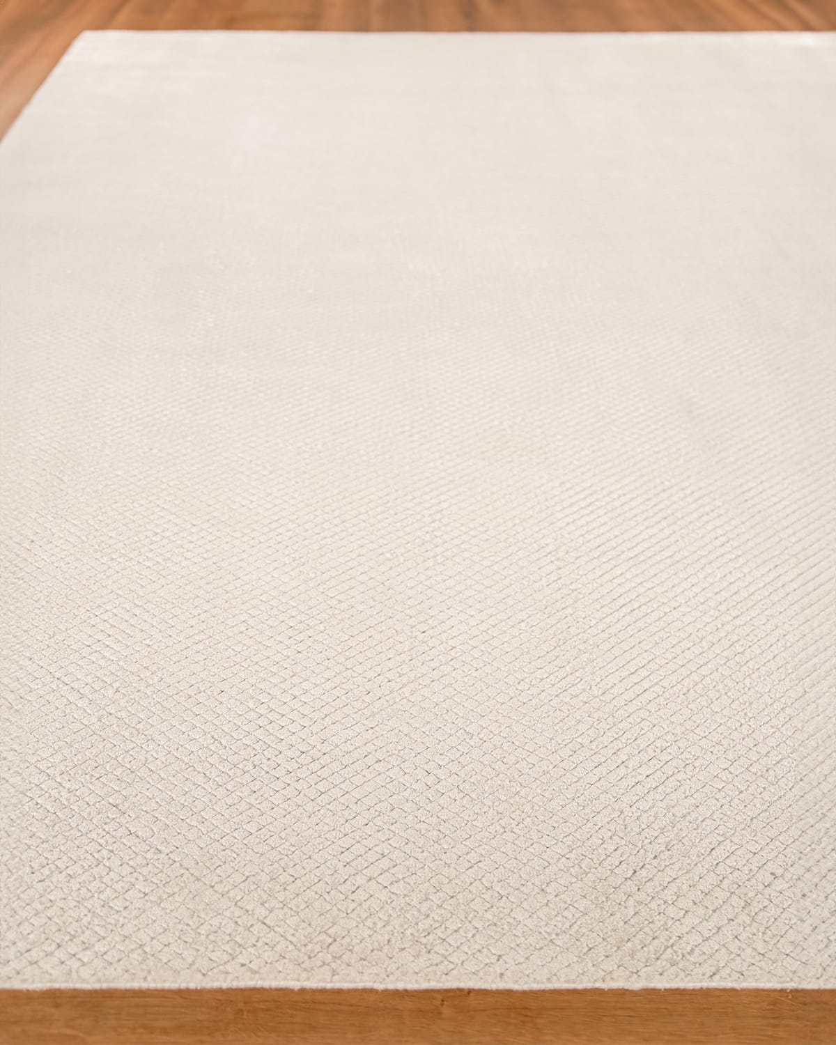 Image Exquisite Rugs Asher Hand-Loomed Rug, 10' x 14'