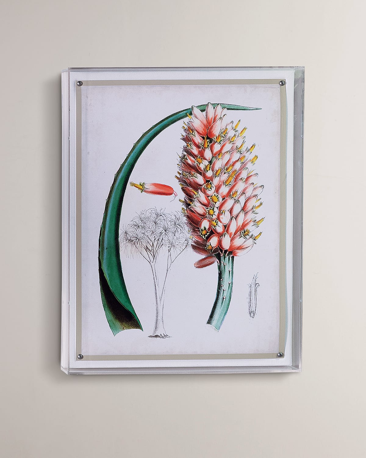 Image Port 68 Tropical III Giclee 