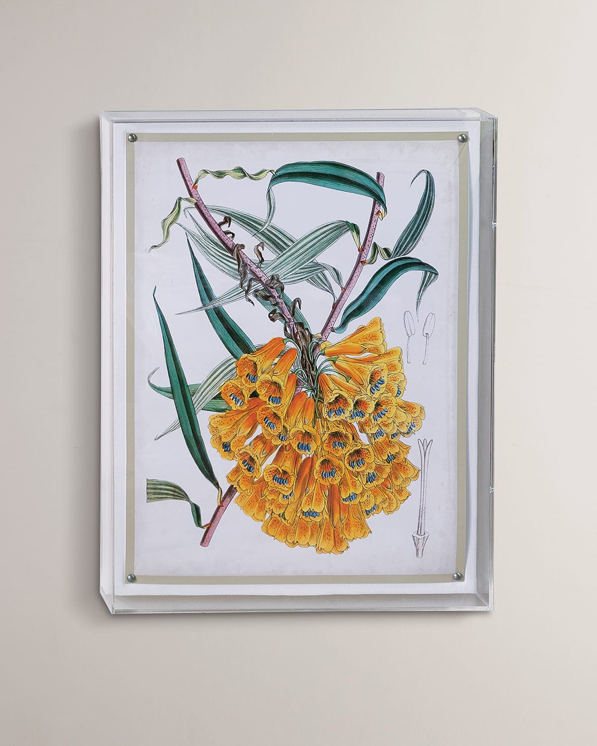 Image Port 68 Tropicals VI Giclee 