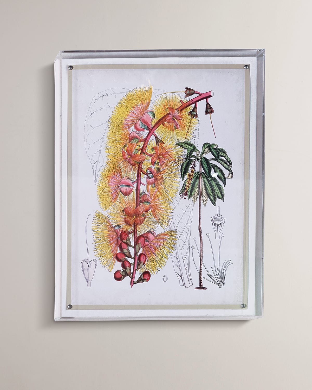 Image Port 68 Tropical VII Giclee 