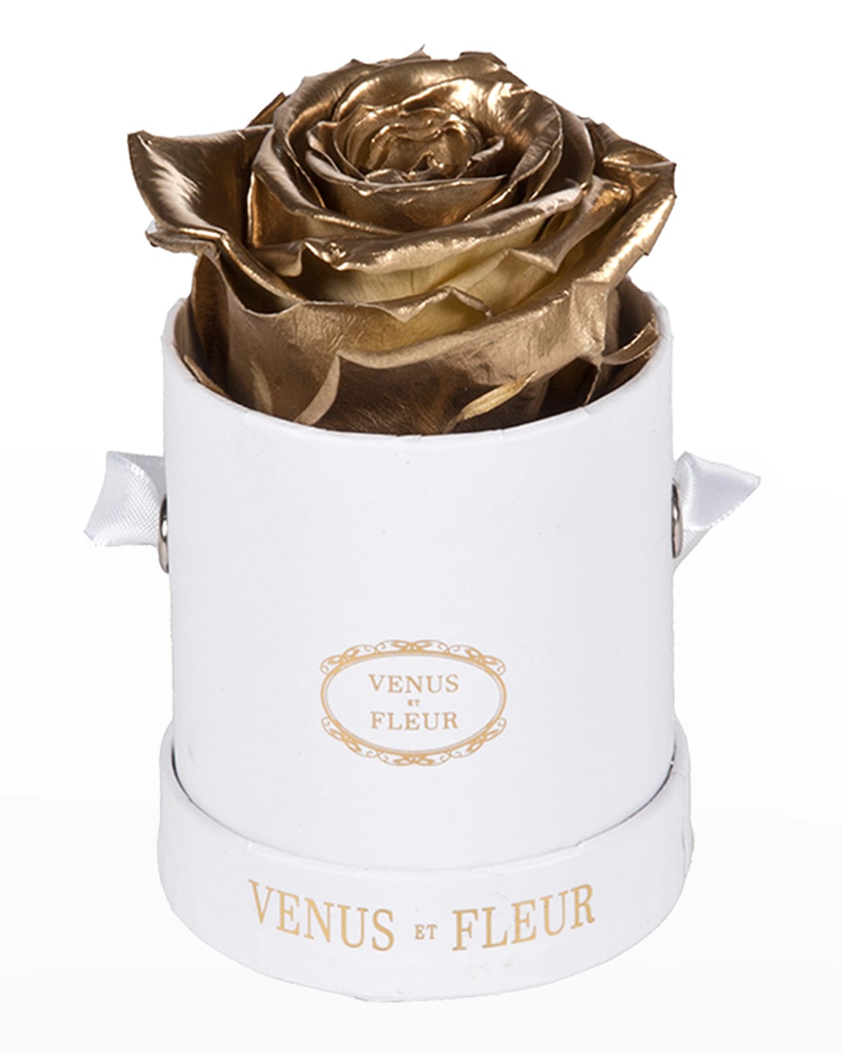 Venus ET Fleur Suede Small Round Rose Box Horchow