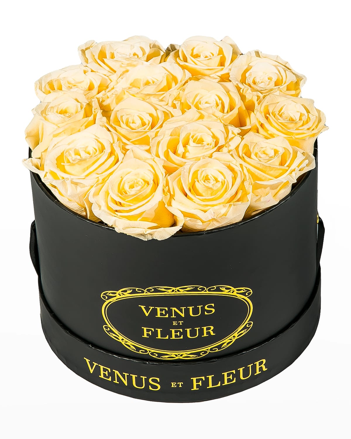 Venus ET Fleur Suede Small Round Rose Box Horchow