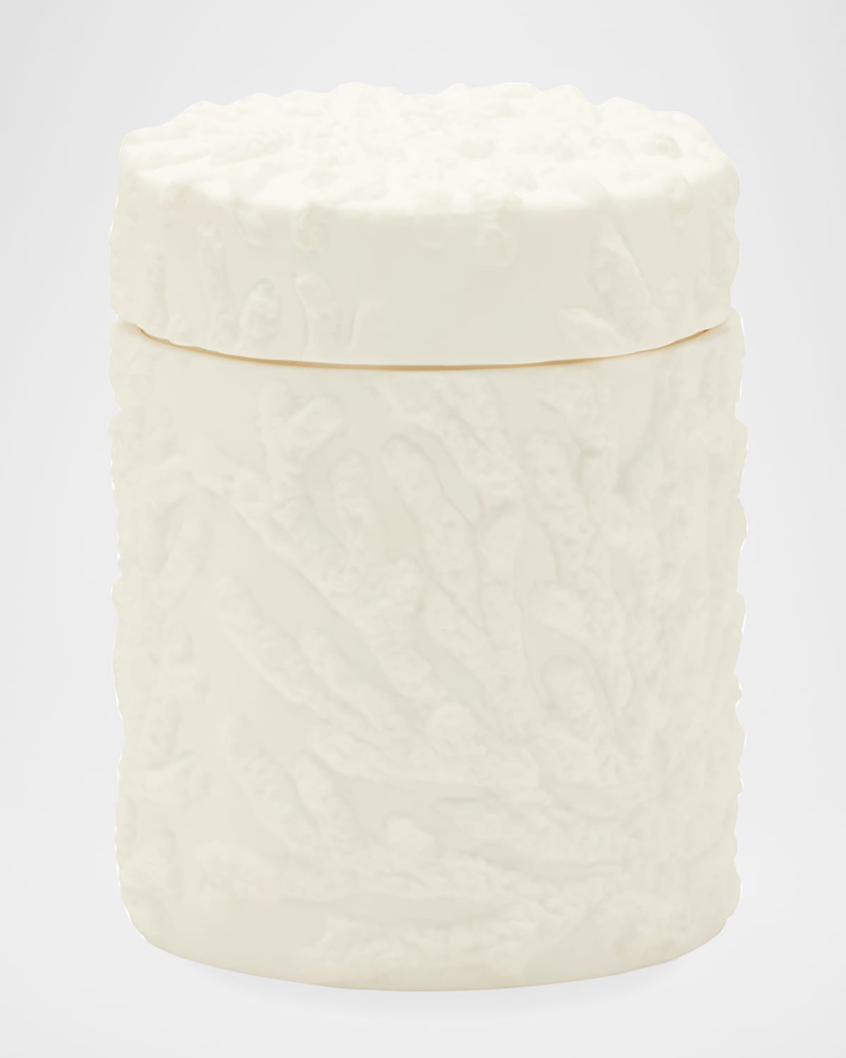 Pigeon and Poodle Andria Capiz Tissue Box Cover | Horchow