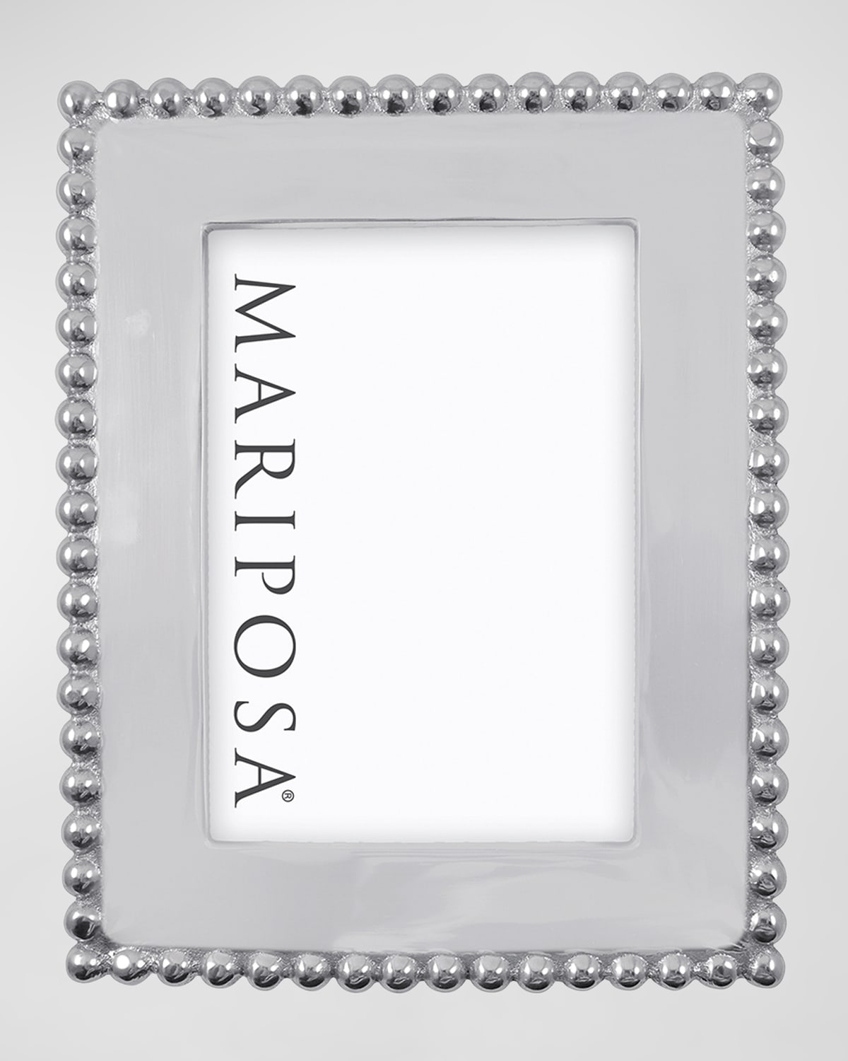 Mariposa White Leather with Metal Border 4x6 Frame