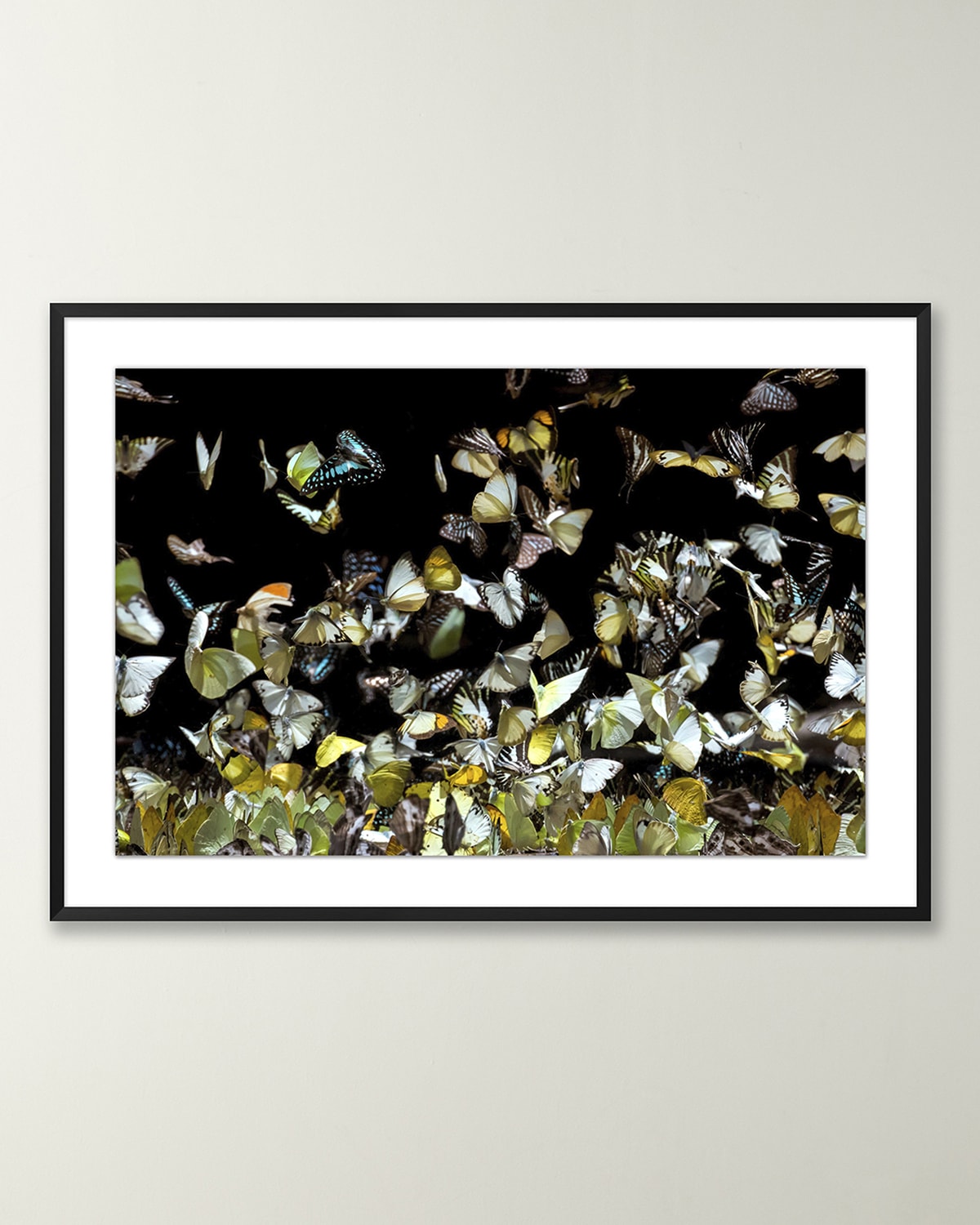 Prestige Arts "Vision of Blooms" Fine Art Giclee Horchow