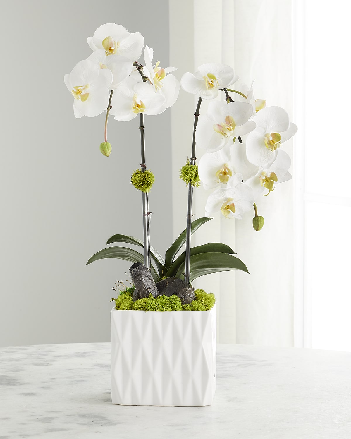 NOTRE DAME PARIS White Orchid in Silver Bowl Pot Ceramic Orchids