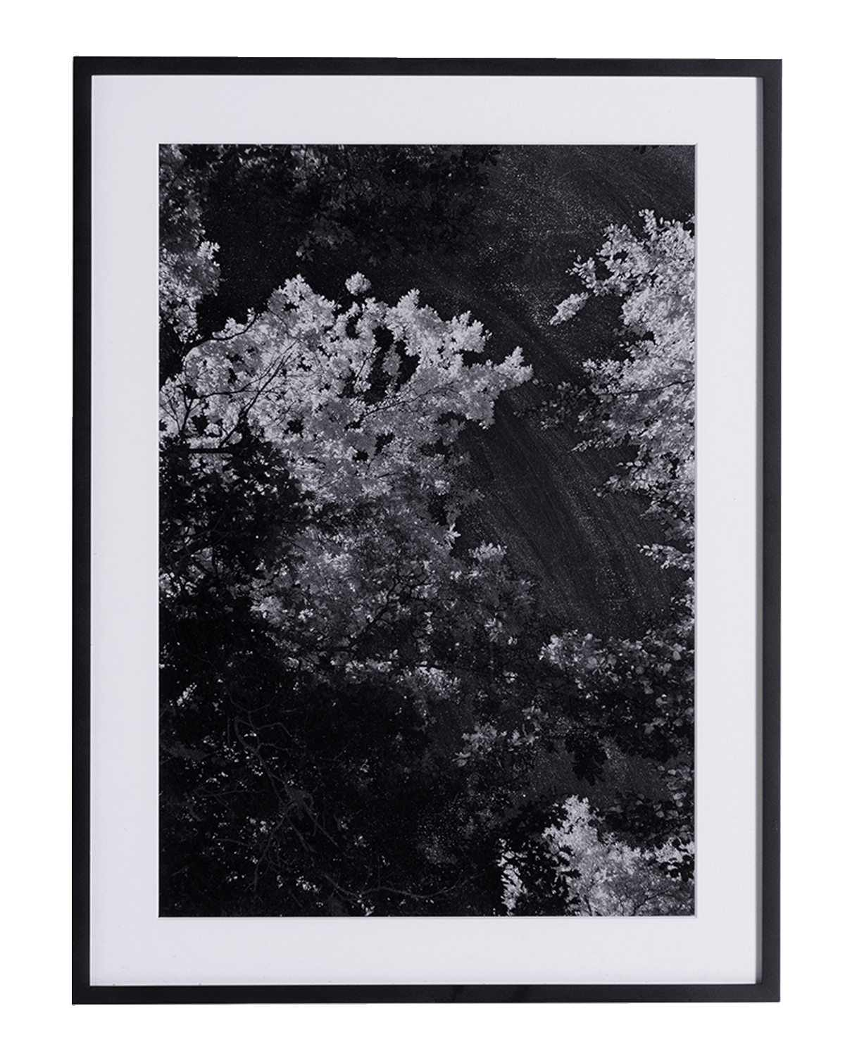 Four hands sonoran desert photography art print horchow