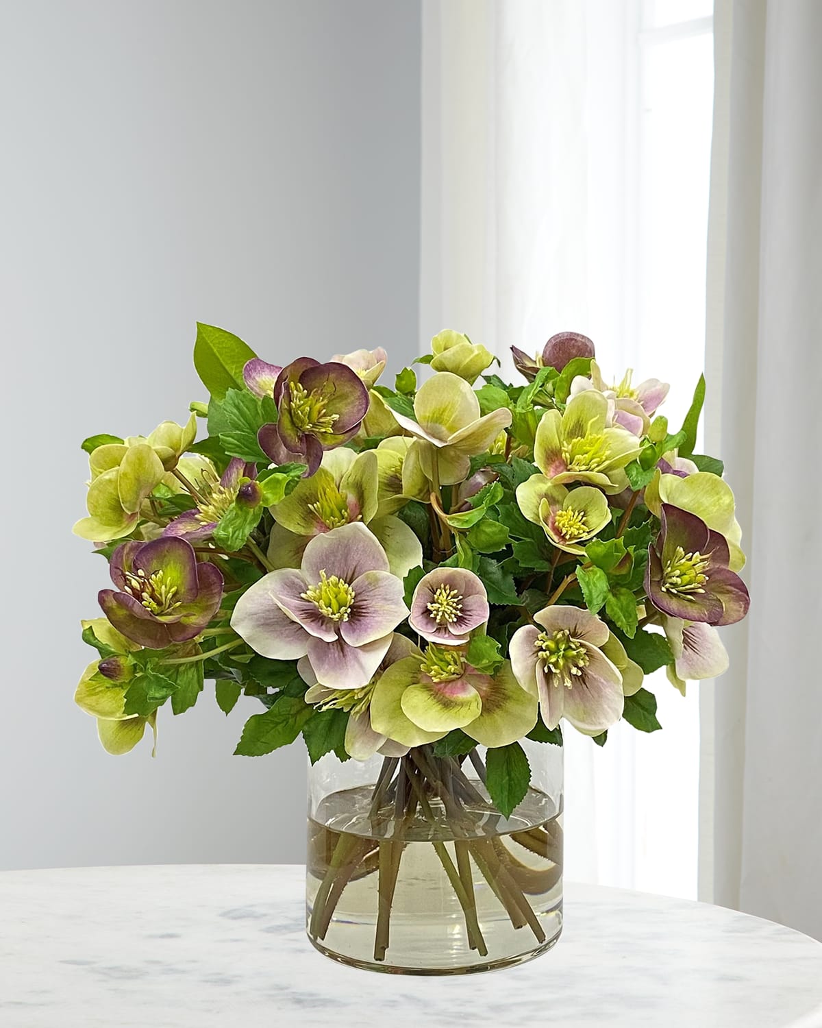 Hydrangea4937　1202 Limelight Prime® Hydrangea - Stark Bro's