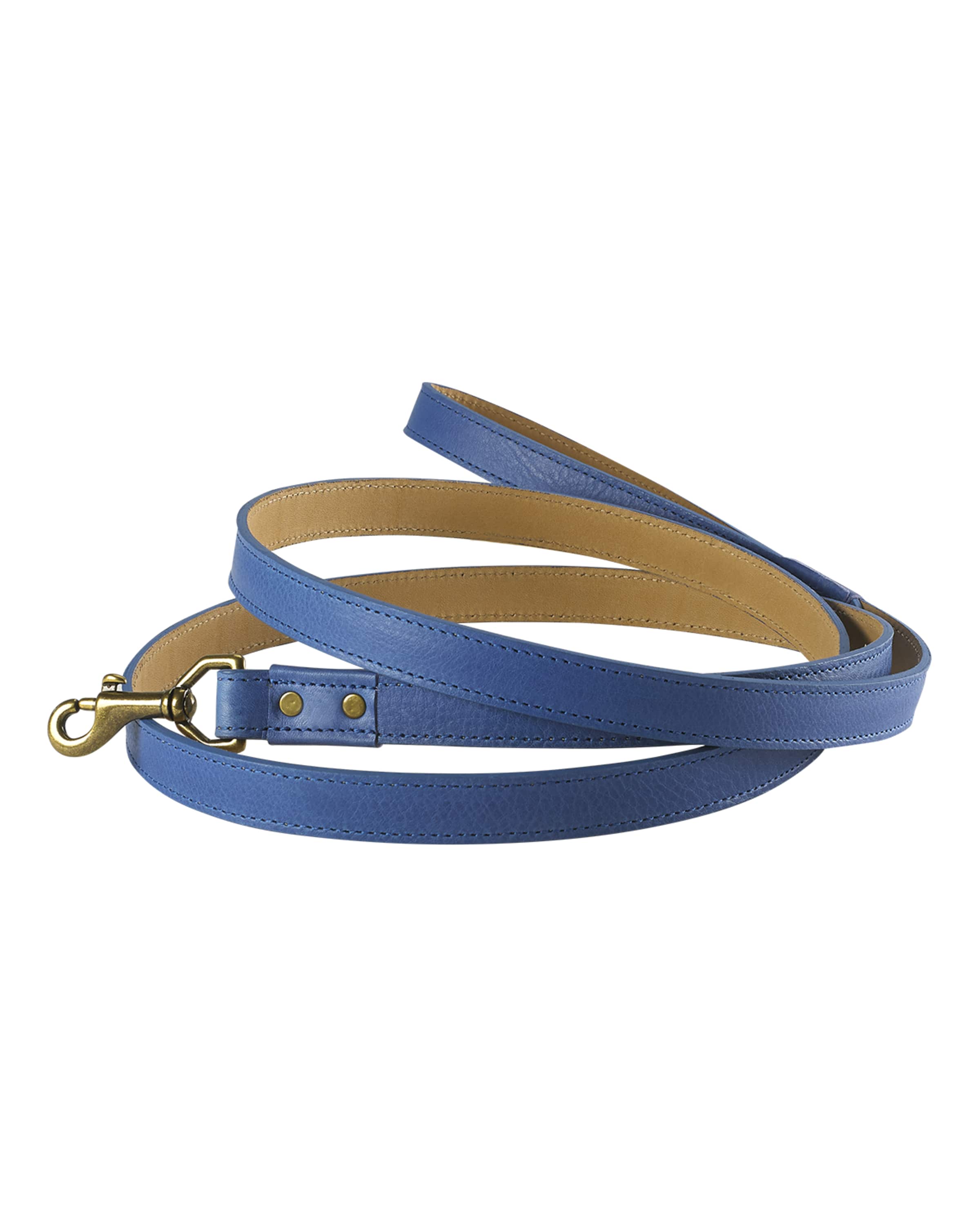 Graphic Image Personalized Dog Leash
