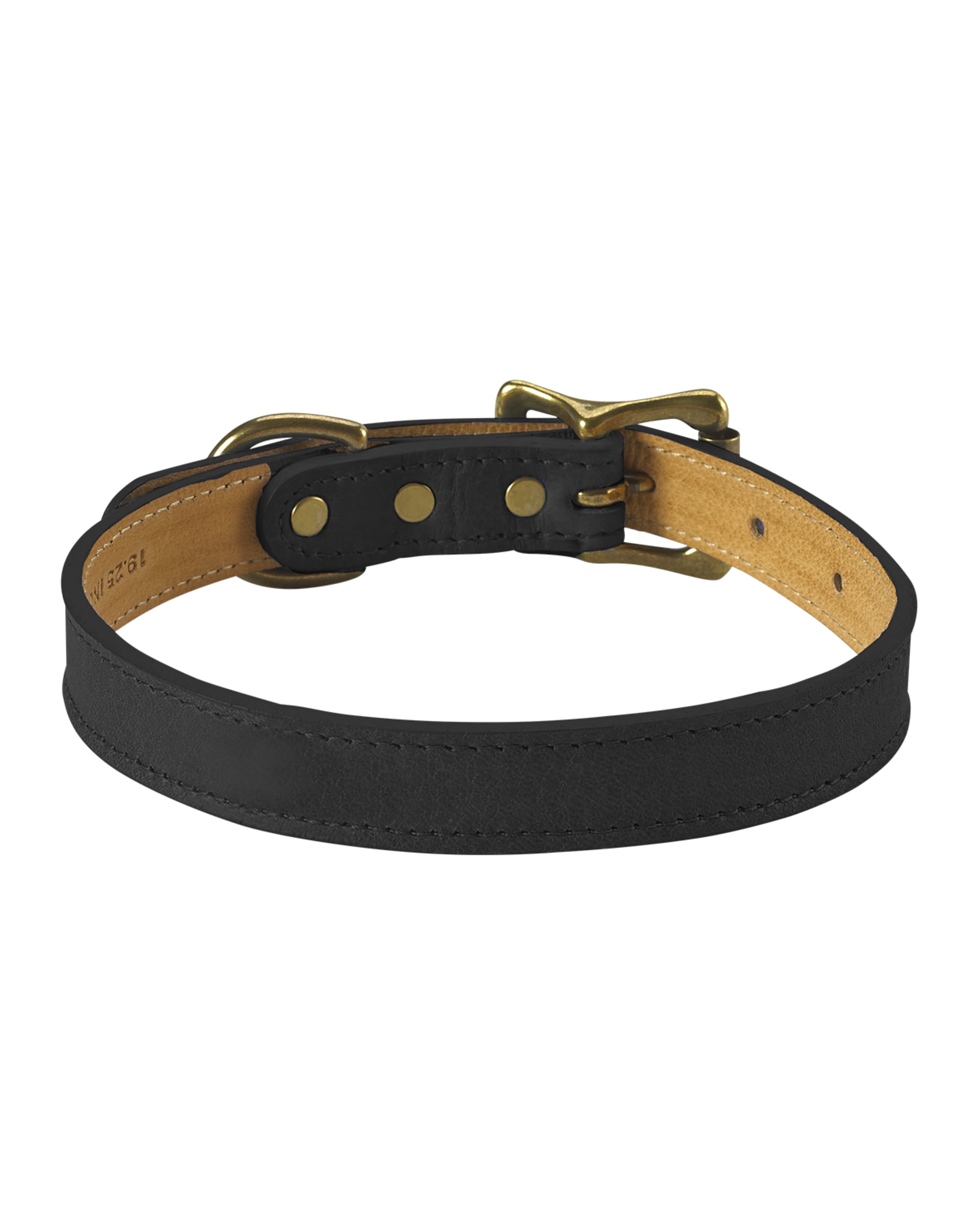 Graphic Image Personalized Small Dog Collar