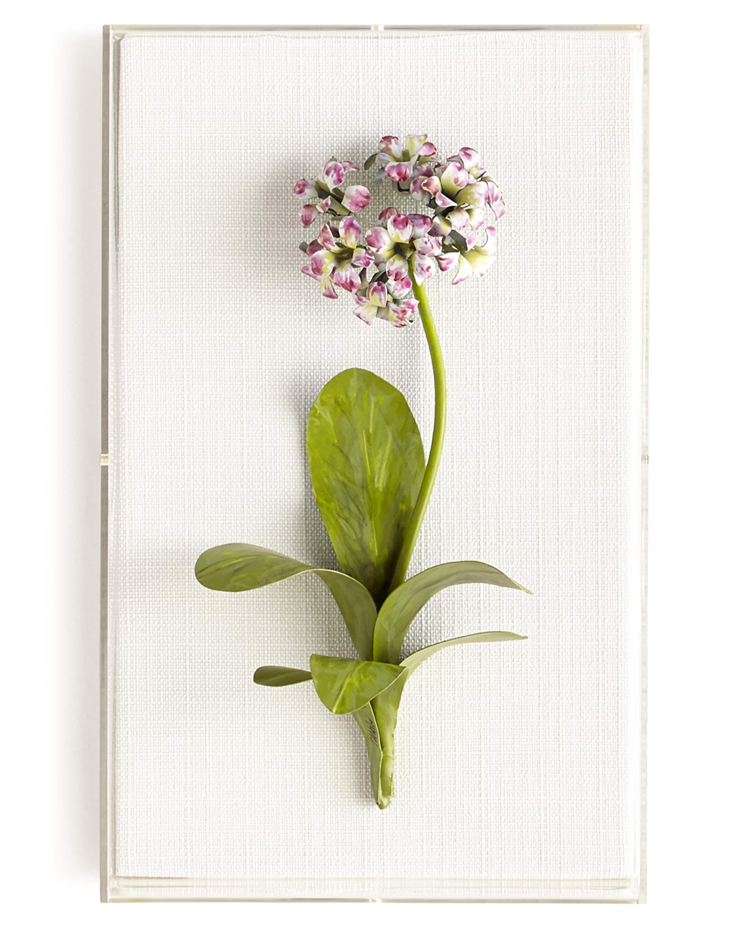 Tommy Mitchell Original Painted Flower Studies & Matching