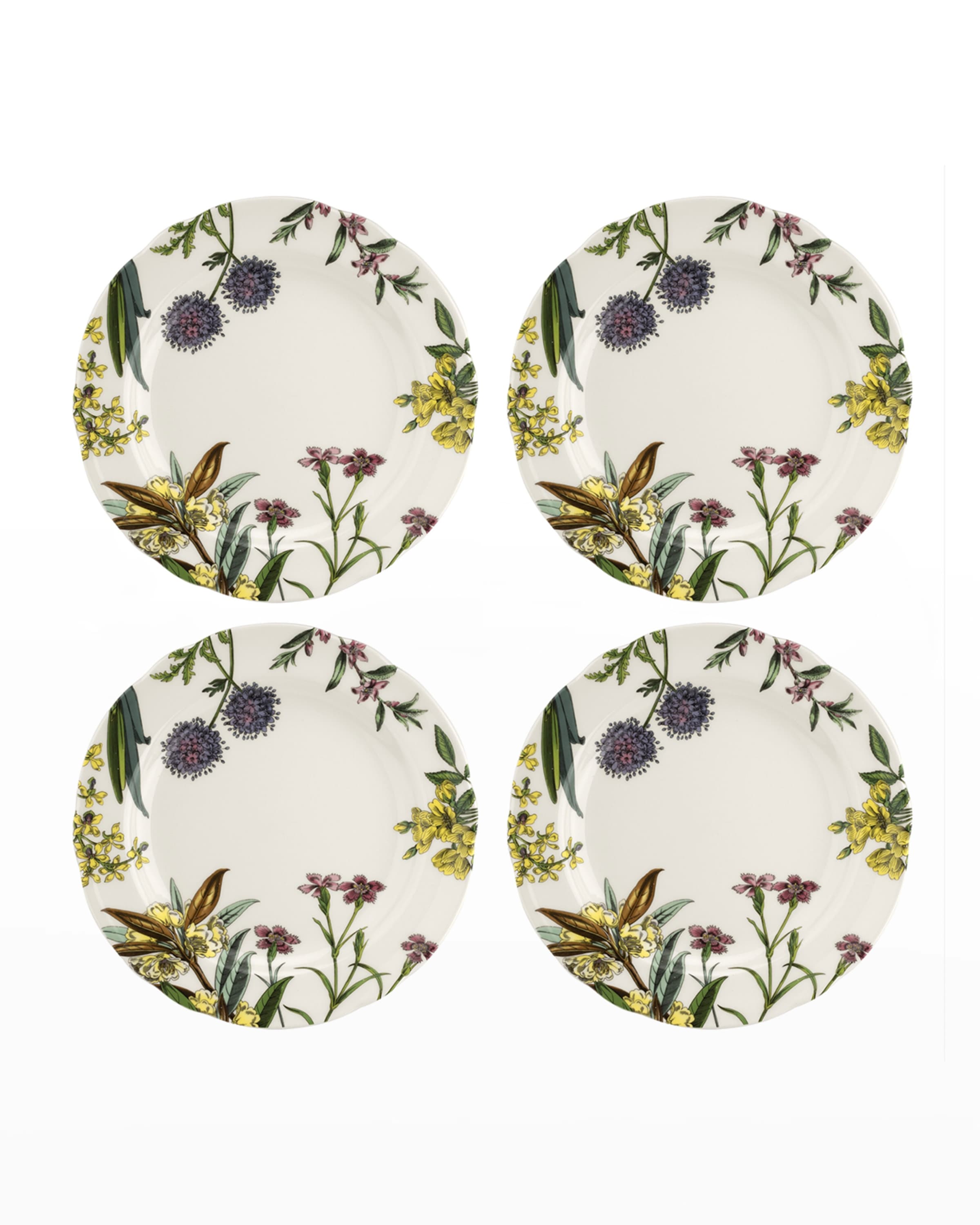 Pimpernel Sottobicchieri Botanici 4 Pezzi In MDF Con Sughero - Diametro 10,5 Cm, Termoresistenti Fino A 100°C, Stampa Artistica