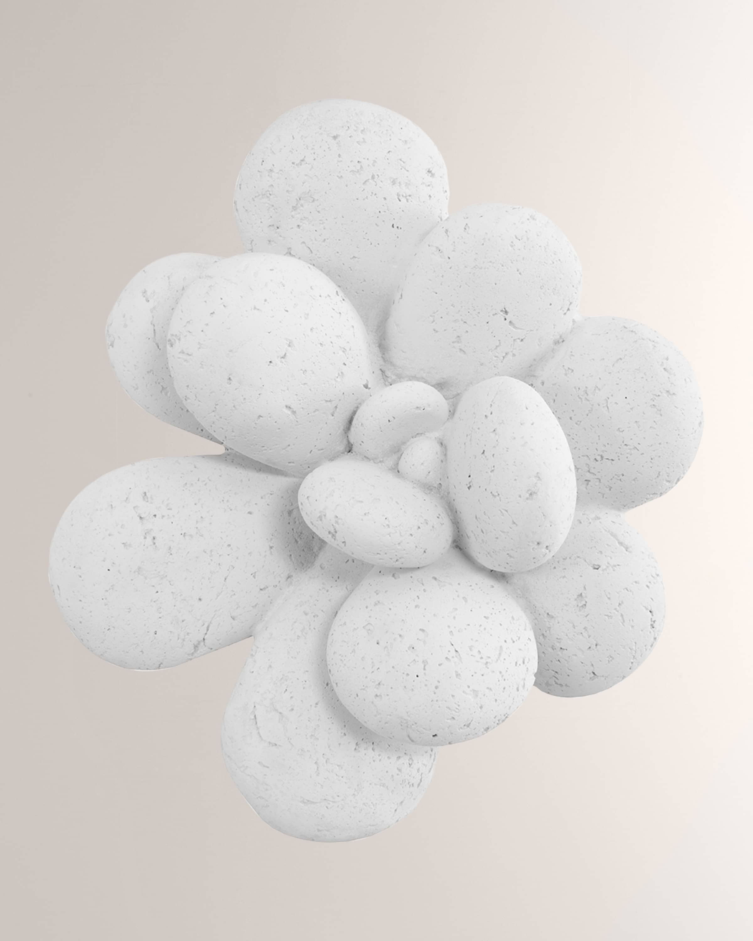 Phillips Collection Oviferum Succulent Wall Art, White Stone