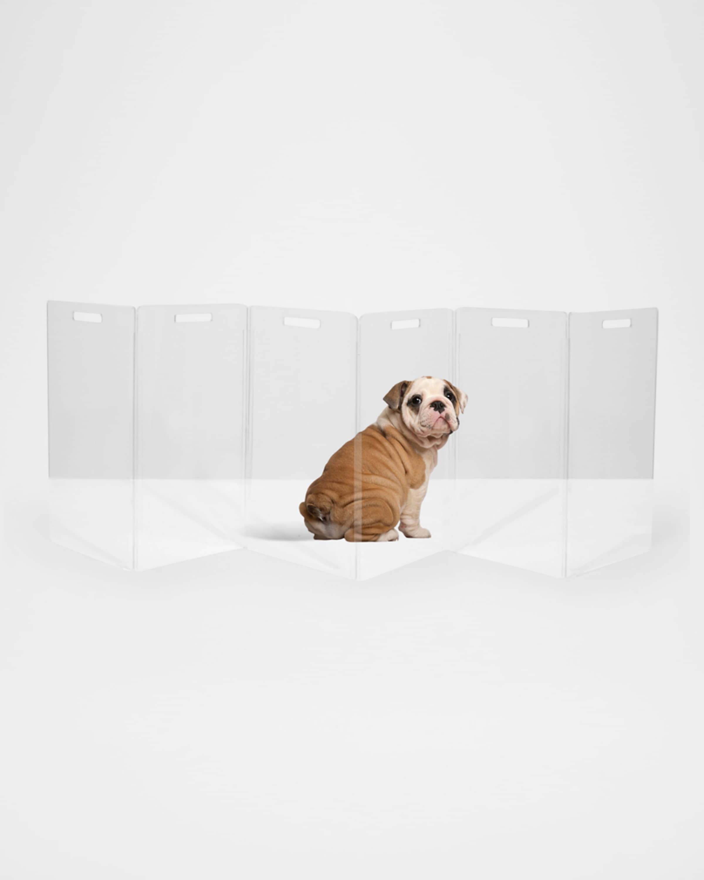 HIDDIN Clear Freestanding Pet Gate Zig Zag, 6-Panel