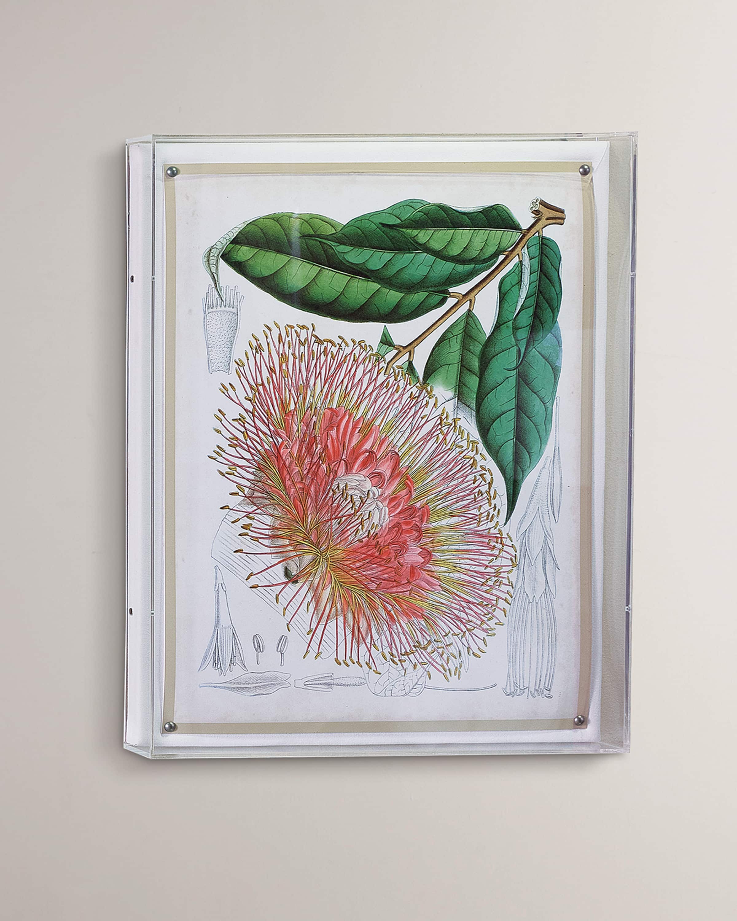 Port 68 Tropicals IV Giclee 