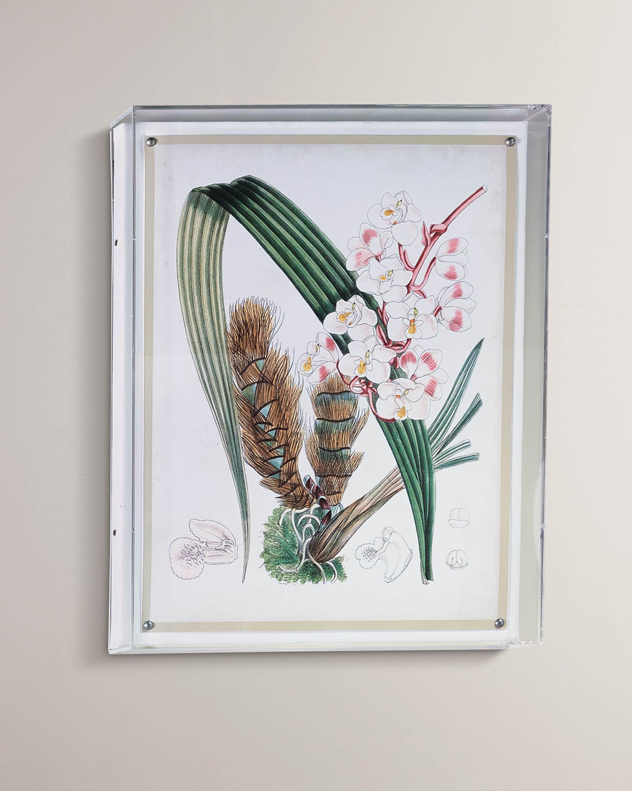 Port 68 Tropicals VIII Giclee 