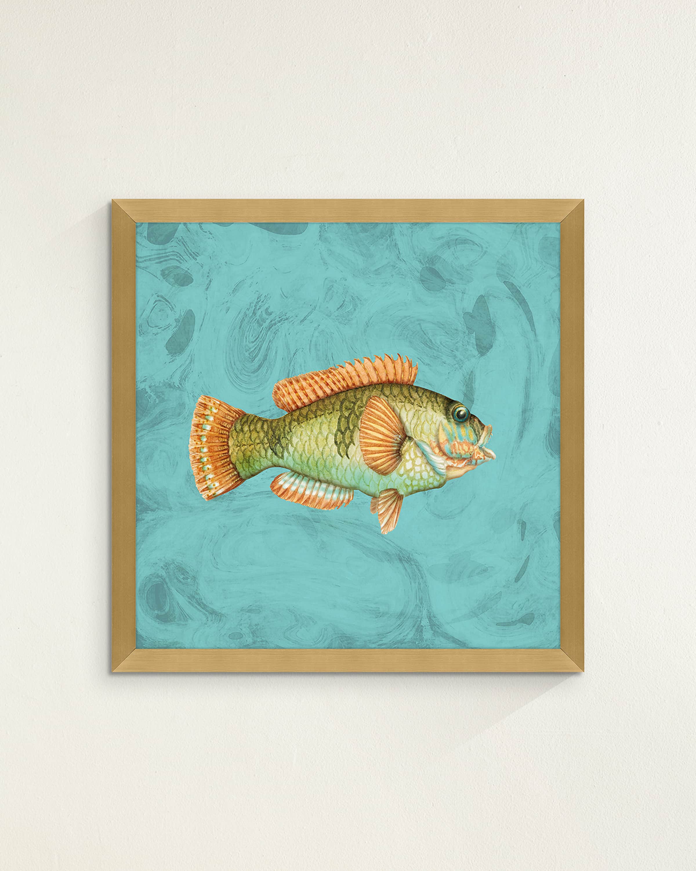 "Phunky Fhish" by Jackie Von Tobel Giclee Collection & Matching Items