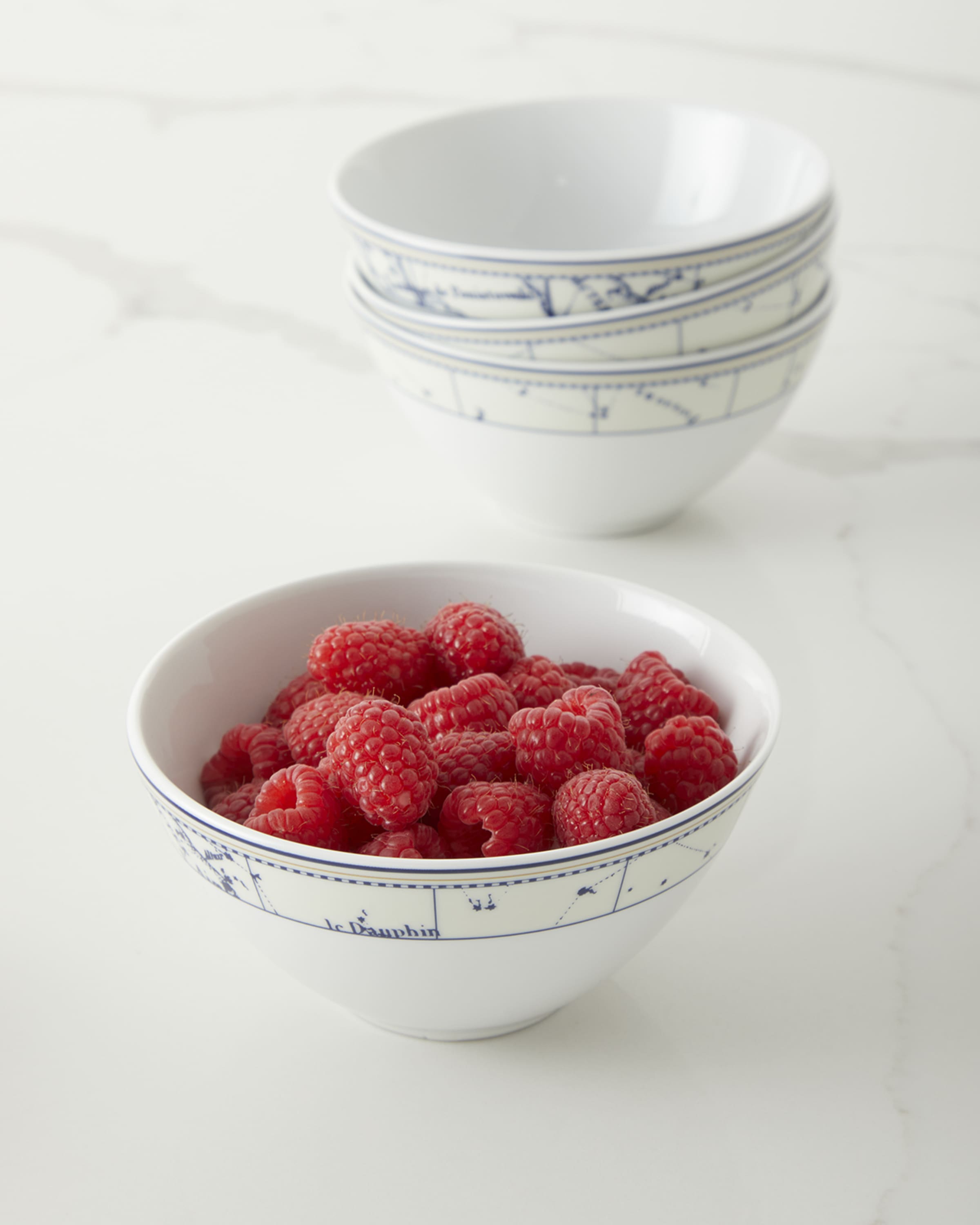 PILLIVUYT Constellation Porcelain Bowl
