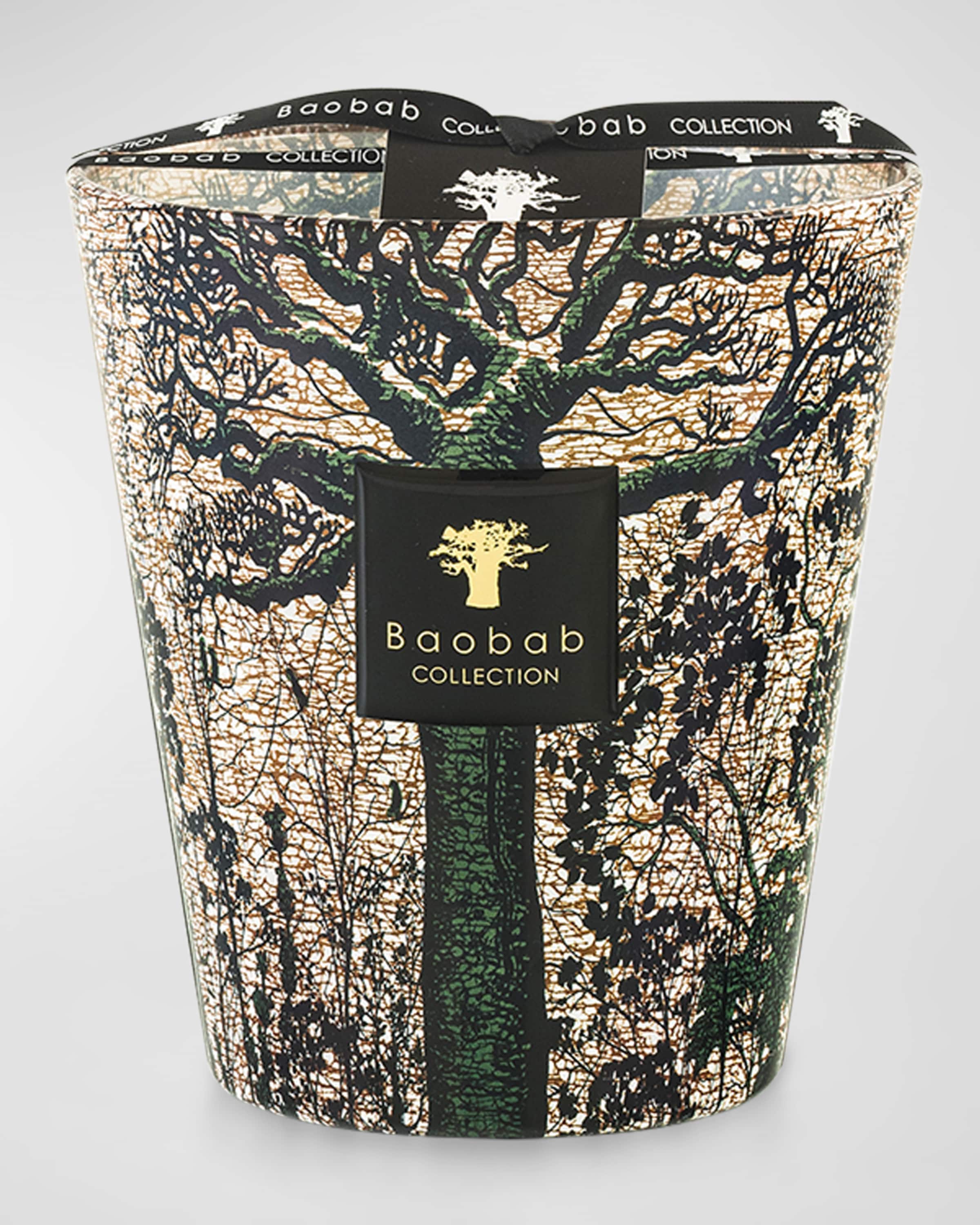Baobab Collection Sacred Trees Kani 4-Wick Max16 Candle, 77.6 oz.