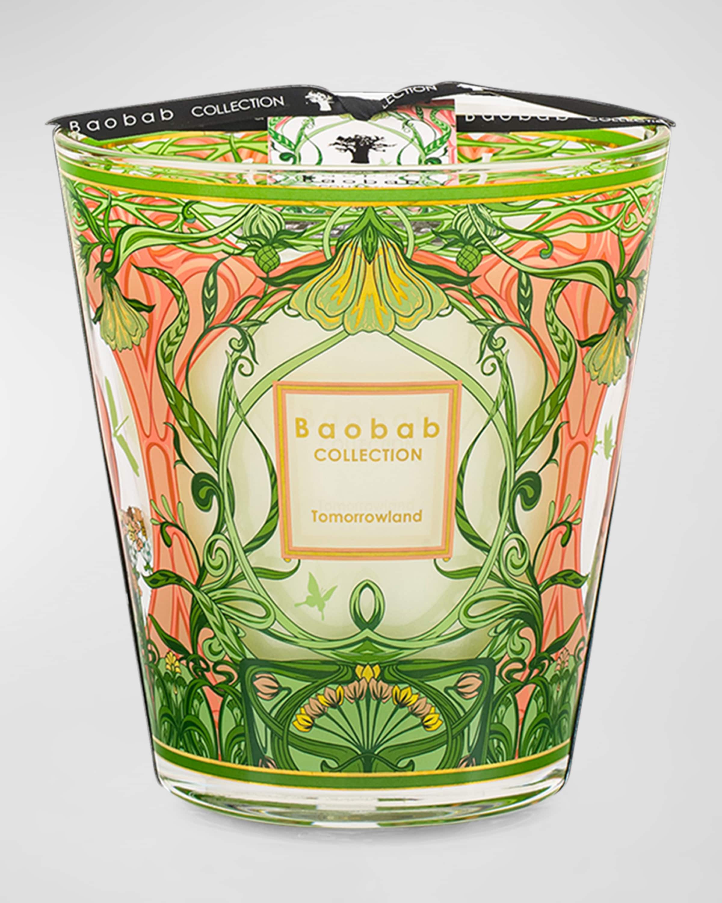 Baobab Collection x Tomorrowland 2024 4-Wick Max 16 Candle, 81.1 oz.