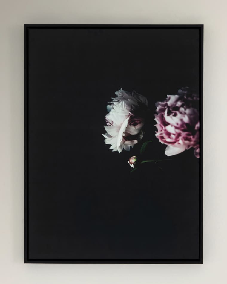 Four Hands "Hiding in the Corner" Photography Print on Canvas Framed Wall Art