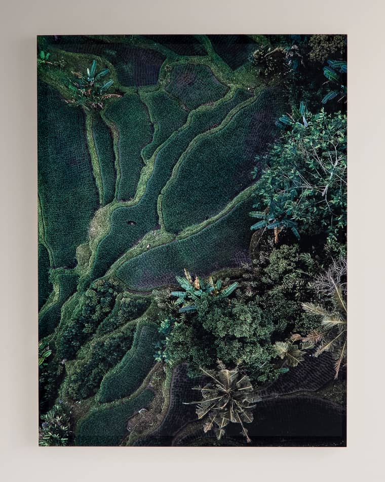 Four Hands "Forever Green" Photography Print on Maple Box Framed Wall Art