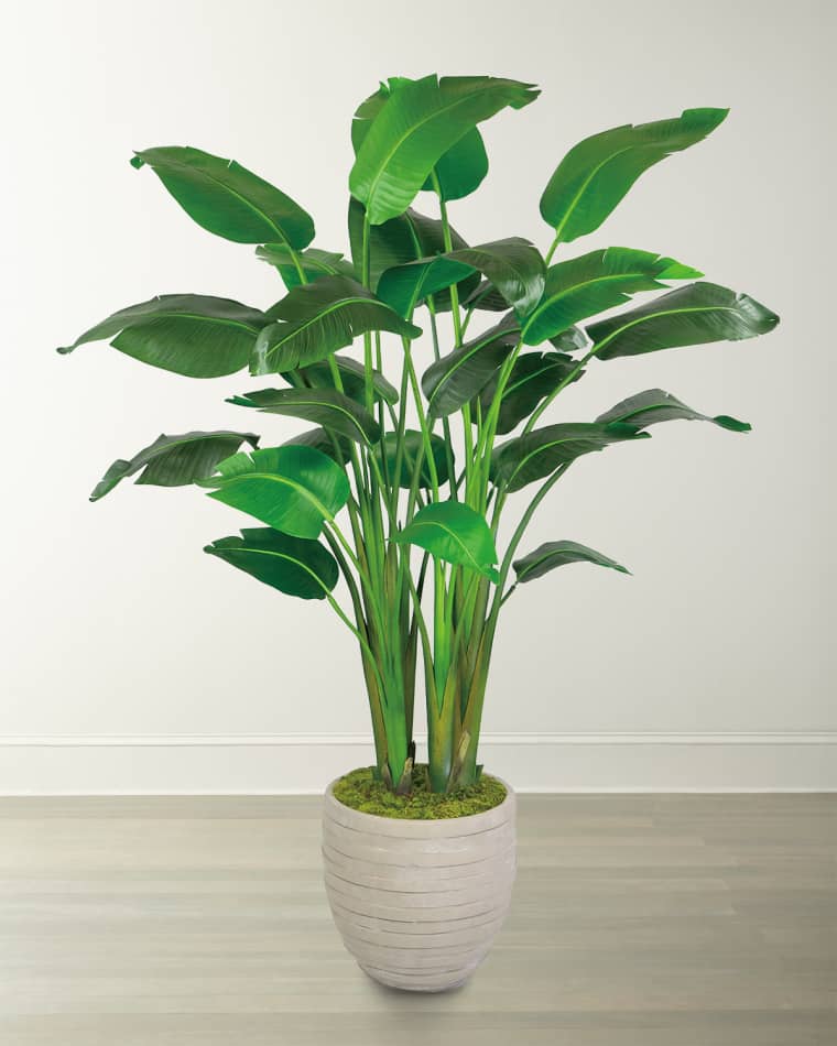 Winward Home Travelers Large Palm in Pot
