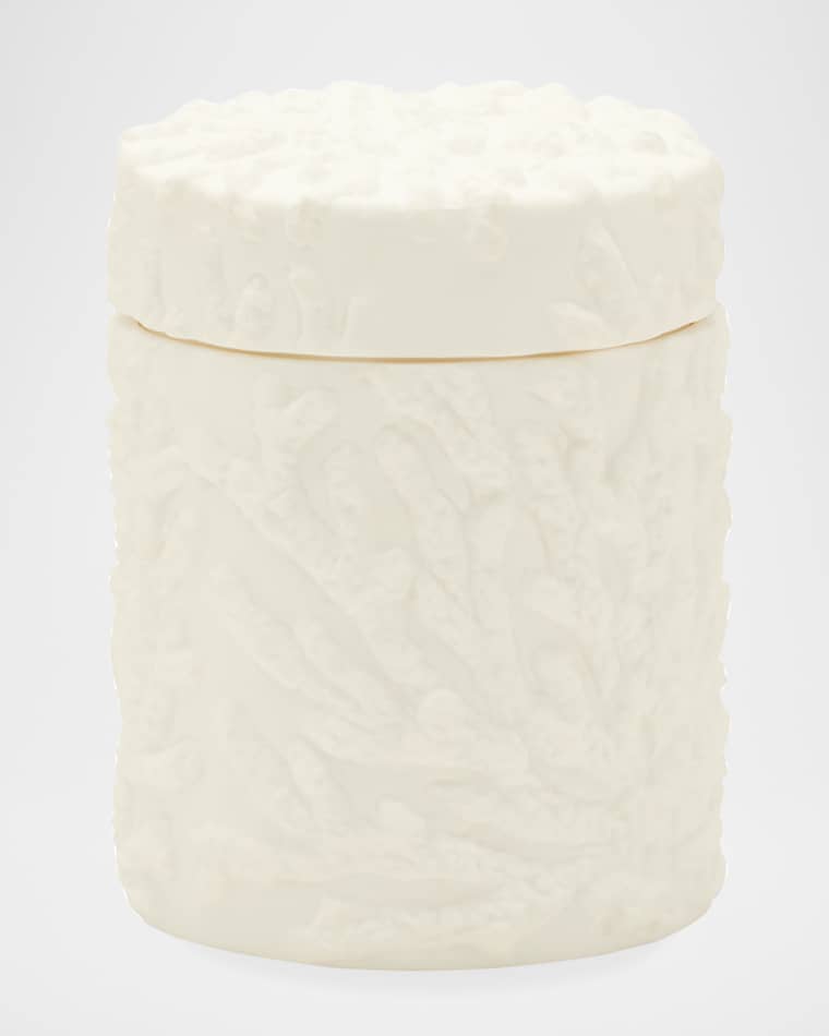 Pigeon and Poodle Alanya Large Round Canister, White