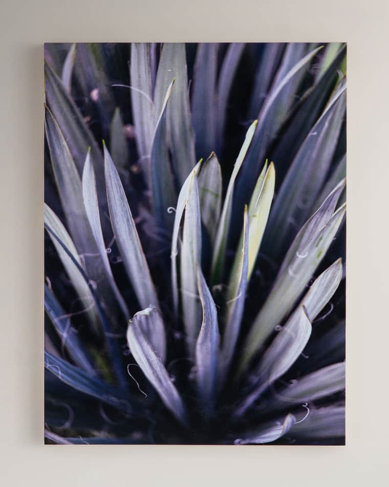 Four Hands "Purple Succulent" Photography Print on Maple Box Framed Wall Art