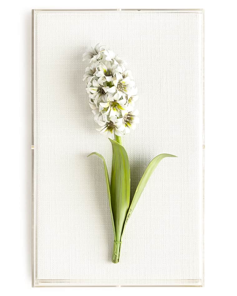Tommy Mitchell Original Painted Hyacinth Study