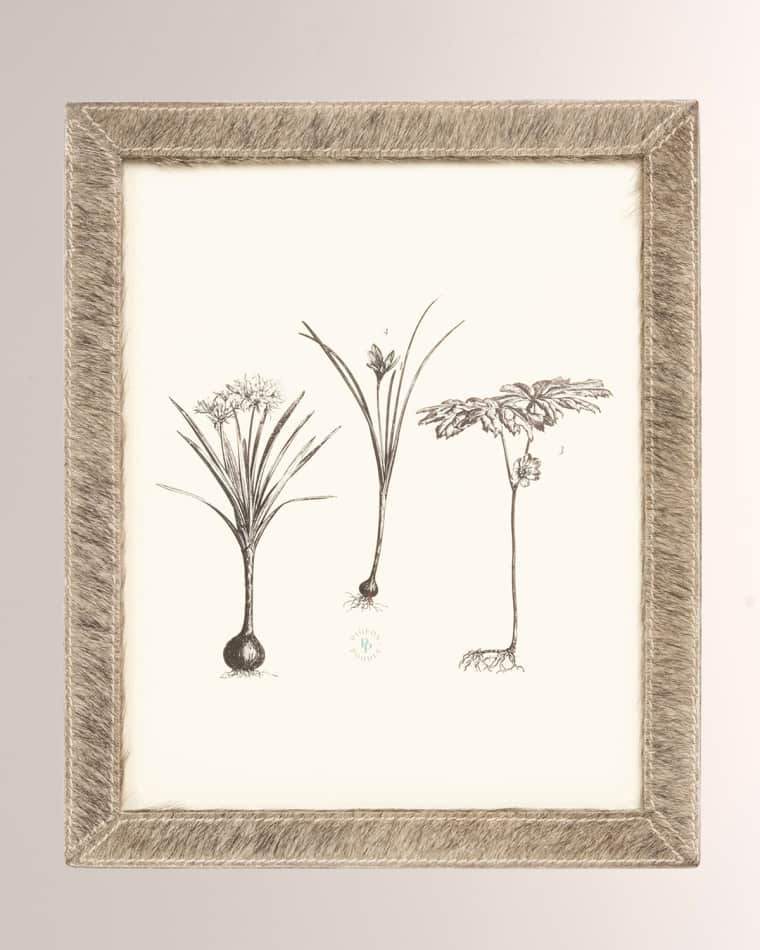 Pigeon and Poodle Verwood Frame, 8x10