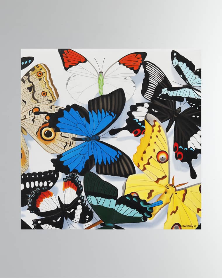 DECHAMBY DESIGN "Papillion Carrer" Fine Art Print by Caroline Dechamby