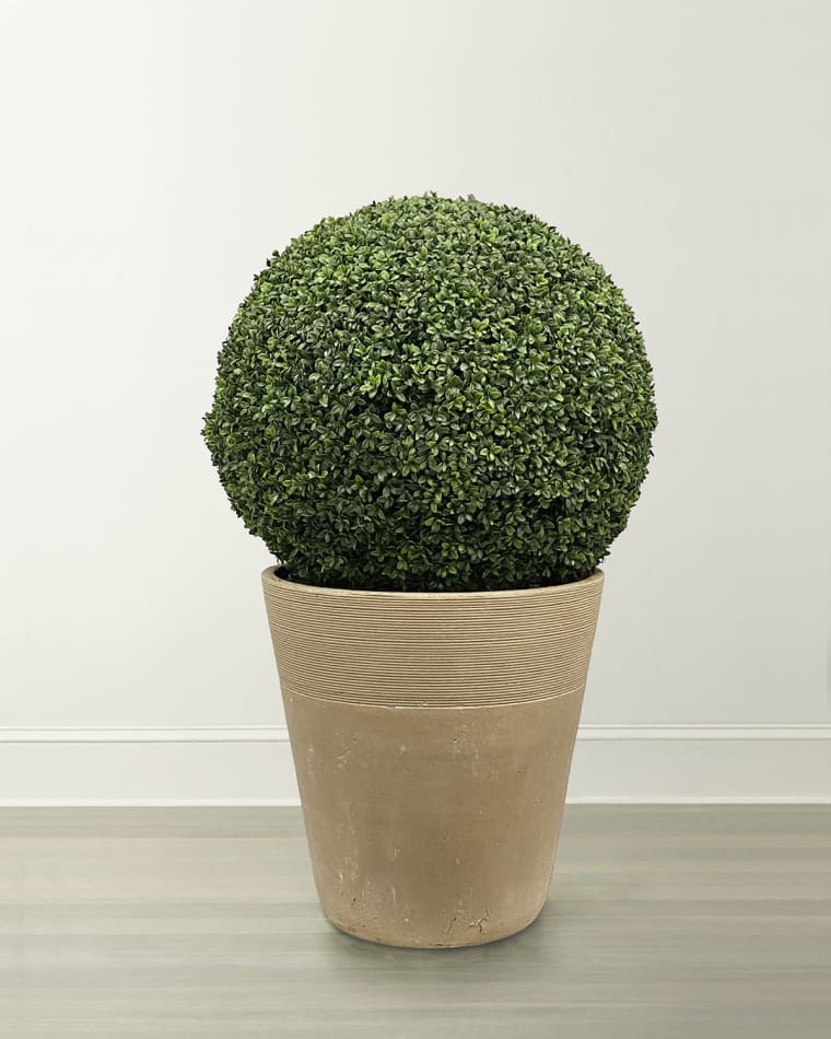 Winward Home Boxwood Ball in Planter