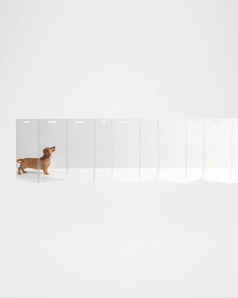 HIDDIN Clear Freestanding Pet Gate Zig Zag, 10-Panel