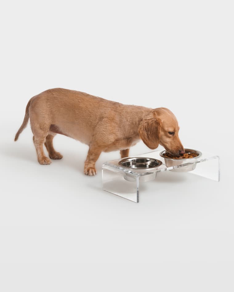 HIDDIN Small Clear Double Pet Bowl Feeder with 1 Pint Silver Bowls