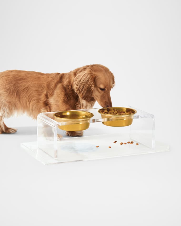 HIDDIN Clear Overflow Feeder Tray, Large
