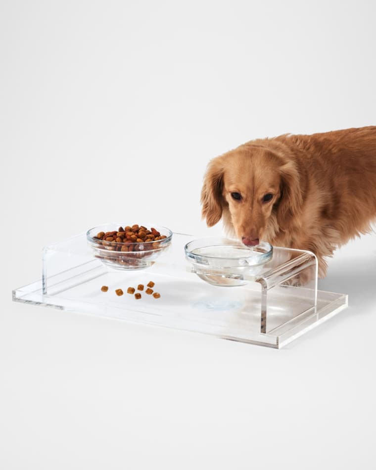 HIDDIN Clear Overflow Feeder Tray, Small
