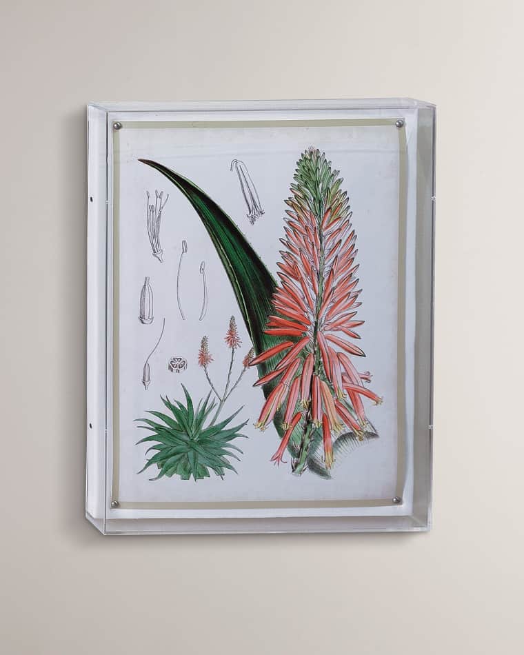 Port 68 Tropicals I Giclee