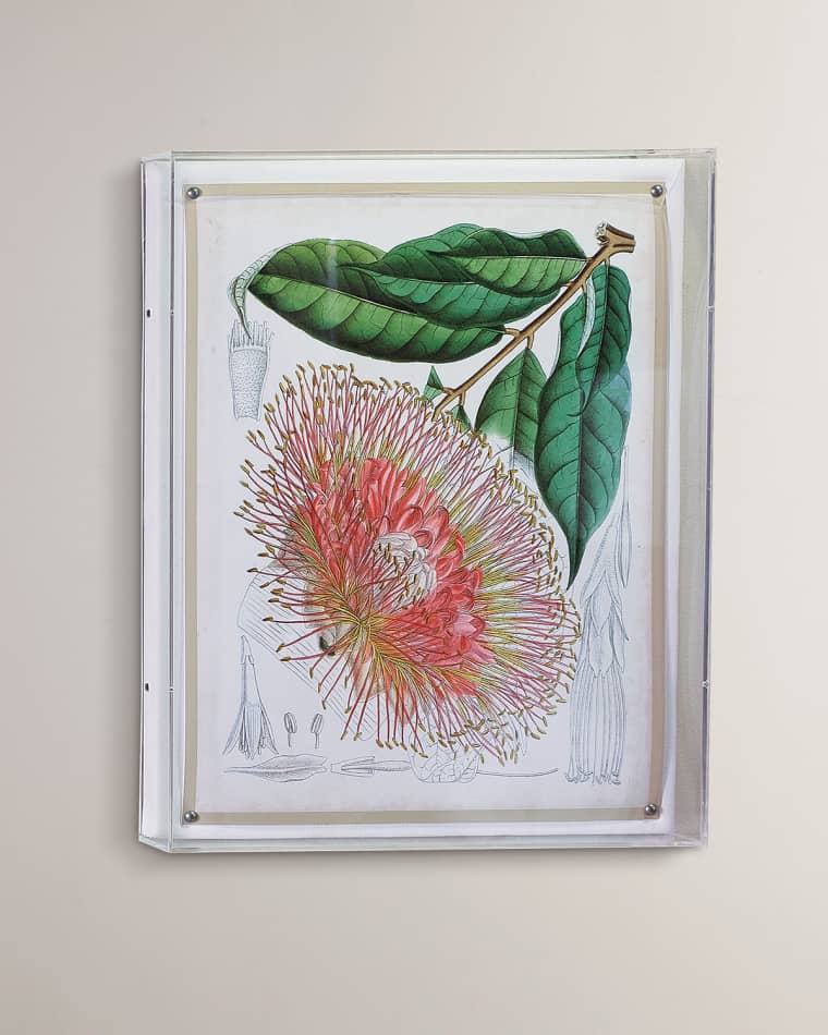Port 68 Tropicals IV Giclee