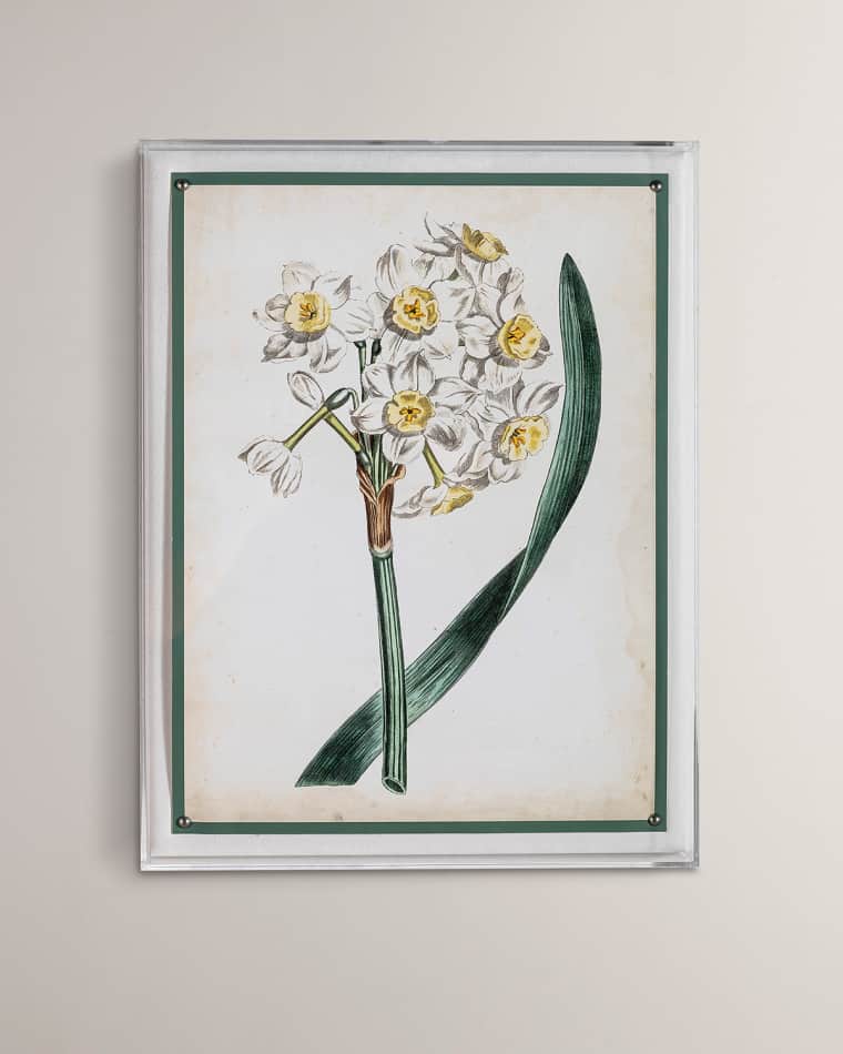Port 68 "Narcissus IV" Giclee Print