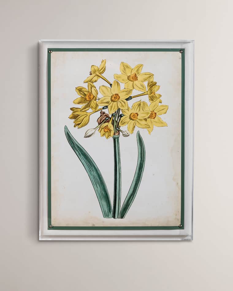 Port 68 "Narcissus II" Giclee Print