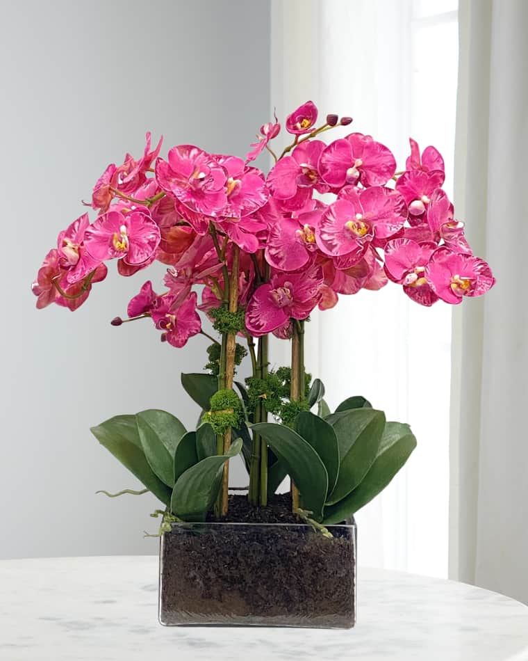 Winward Home Phalaenopsis Orchid Arrangement in Square Vase