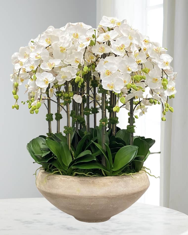 Winward Home Orchid Arrangement in Tapered Bowl