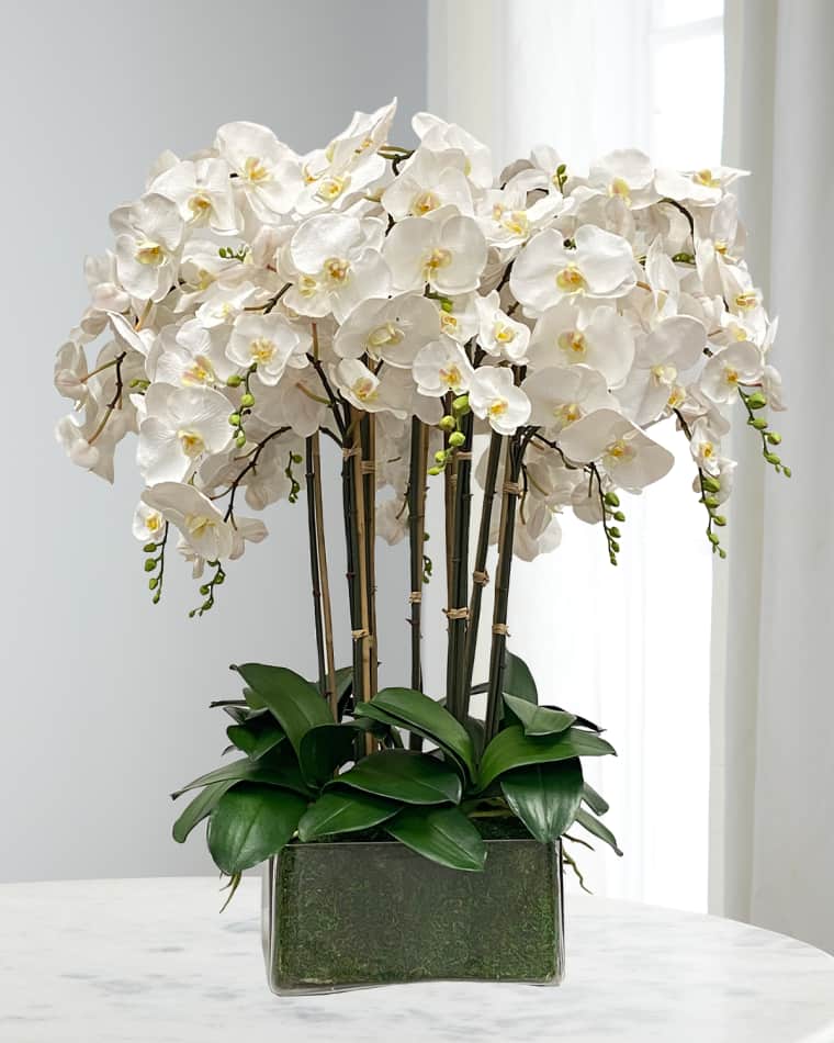 Winward Home Orchid in Glass Planter